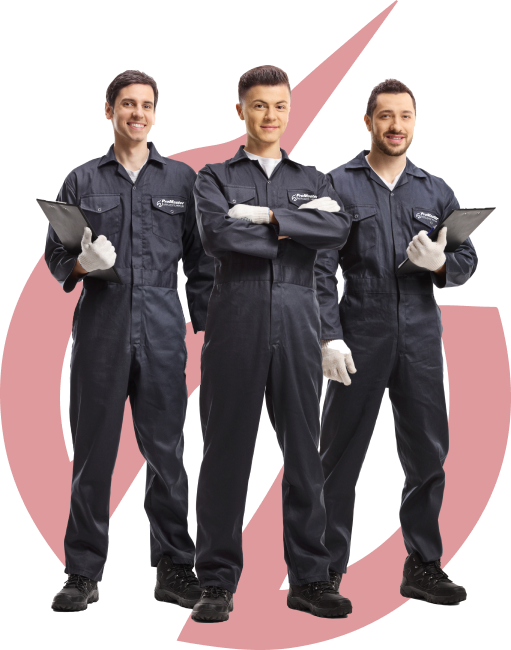 Our specialists
